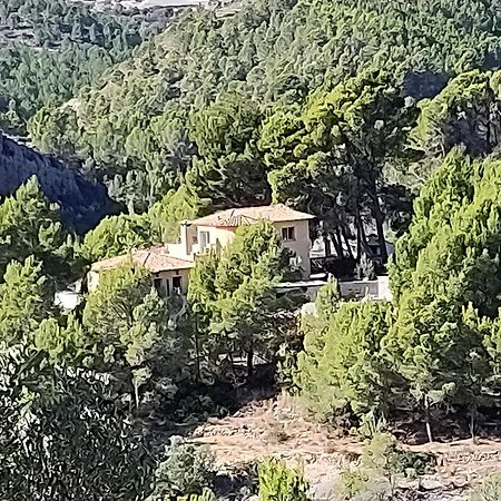 Finca Caracol Bolulla Εξωτερικό φωτογραφία