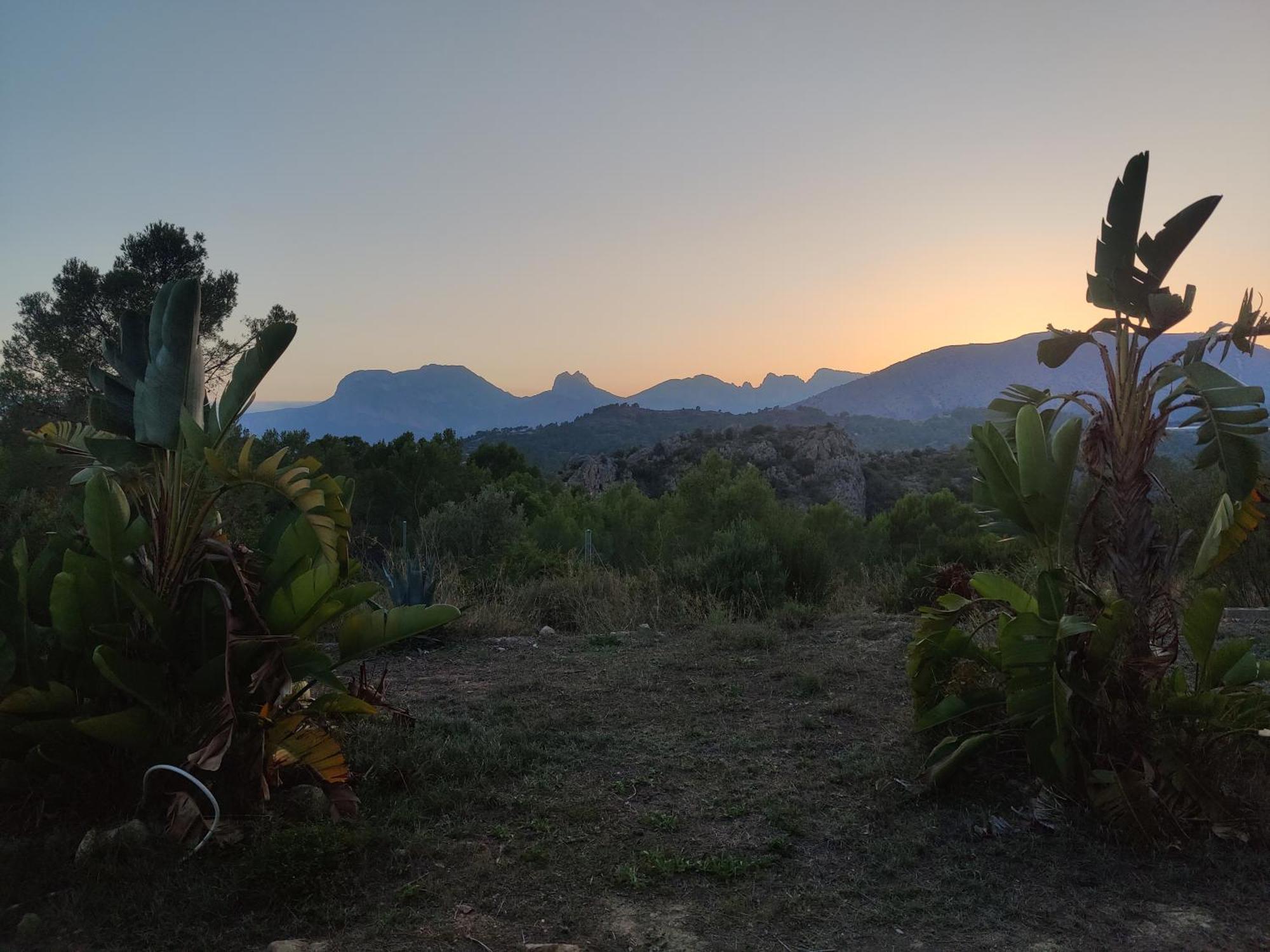 Finca Caracol Bolulla Εξωτερικό φωτογραφία